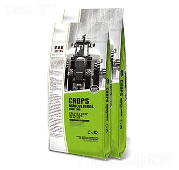 ���ؾ������-ʥ�ɶ�