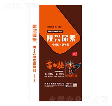 �������-�P�S�ʘI(y��)