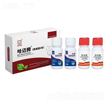 �׷�ʭ�����M���ײ�-��