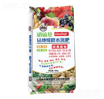 硝硫基鉆地緩釋水溶肥15-5-22-巴士德