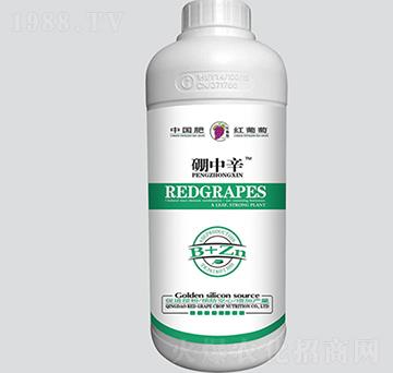 硼中辛-紅葡萄