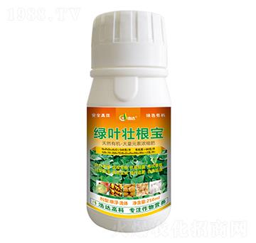 �߲˾G�~�Ѹ���-���_(d��)��