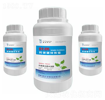 �}�V���\�F�f-�~�u-����