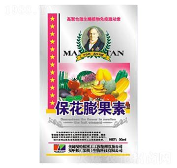 ���������-�»�