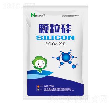 顆粒硅200g-惠億農(nóng)