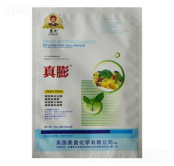 真膨-聯(lián)普化學(xué)