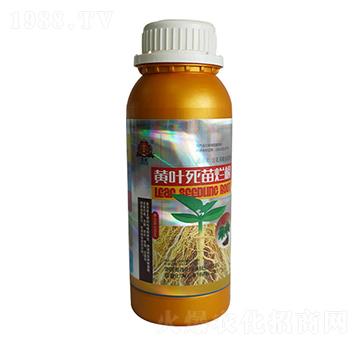 黃葉死苗爛根-聯(lián)普化學