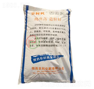 SNK�w�������-�r(n��ng)�ƻ���