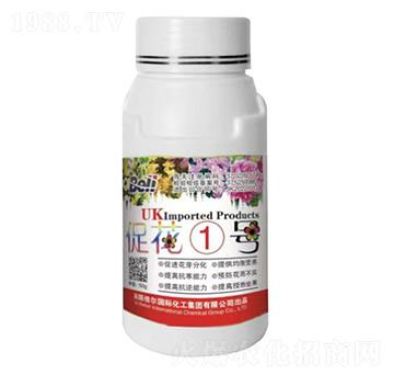 �ٻ�1̖(h��o)-Ӣ������-�տ���