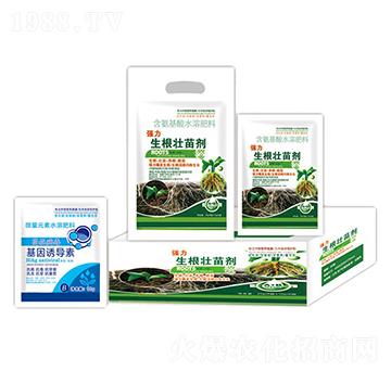 �����������焩+�����T����-�ֵϾ�