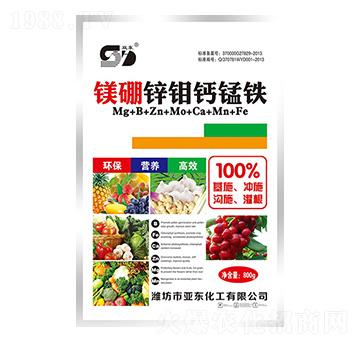 �V���\�f�}�i�F-�p�|-���|����