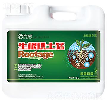 生根拱土猛-方瑞