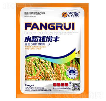 水稻矮墩豐-方瑞