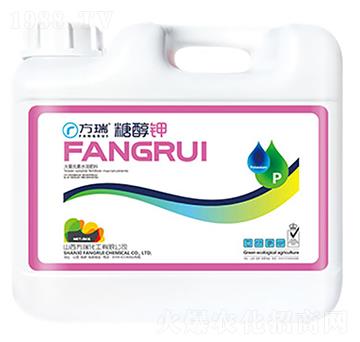 �Ǵ��-����