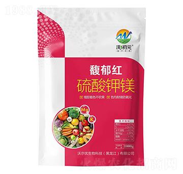 ������V-����t-�֠���(y��u)