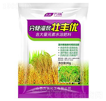 分蘗灌漿壯豐優(yōu)-方瑞