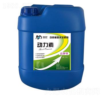 ������-�꾧��