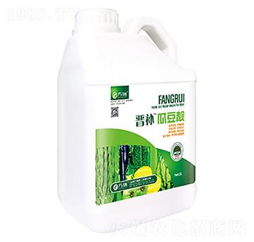 晉補瓜豆靚-方瑞