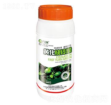 黃化快轉(zhuǎn)綠-方瑞