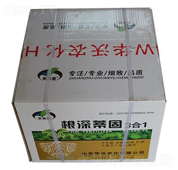 ����ٹ�3��1-�A���r��