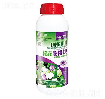 棉花膨桃快-方瑞