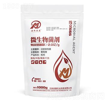 ΢�������-�����r(n��ng)�I(y��)