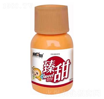 ��(��i)��������-�������