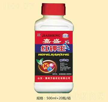 �˼�ʢ�t���-�fȪ�r(n��ng)��