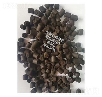 �⵰���w����-�A������