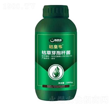 �ݲ�ѿ�ߗU��-�s���f-������