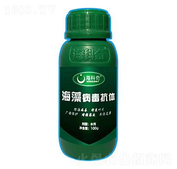 ���岡�����w-������