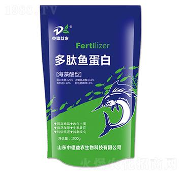 �������Ͷ����~(y��)����-�е����r(n��ng)