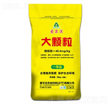 ���w������35-0-0-��(��i)����