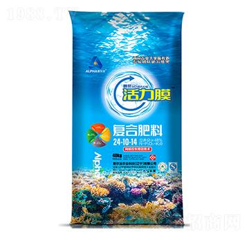 ����Ĥ��(f��)�Ϸ���24-10-14-�۠���