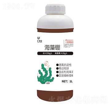 ������1L��-Ψ��