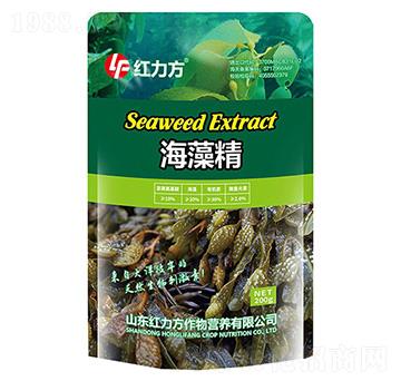 ���徫-�t����