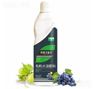 葡萄提子需配有機水溶肥料-英露沃普豐