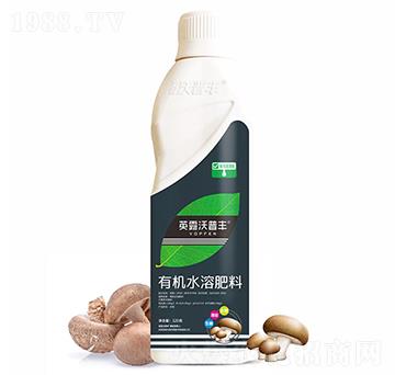 食用菌需配有機水溶肥料-英露沃普豐