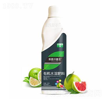 柚子需配有機(jī)水溶肥料-英露沃普豐