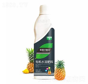 菠蘿需配有機水溶肥料-英露沃普豐
