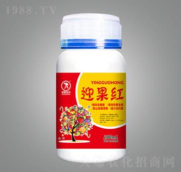 ӭ���t-��¡���B(t��i)