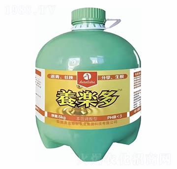 ���w����-�B(y��ng)����-�W�׵�˹