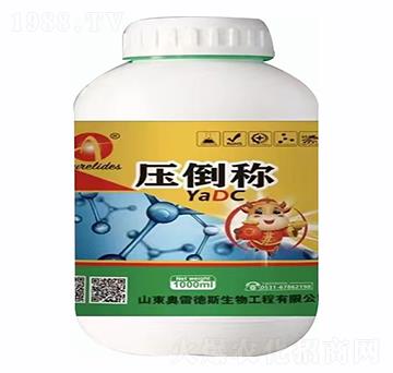 壓倒稱-奧雷德斯