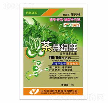 ��ѿ�G��-������