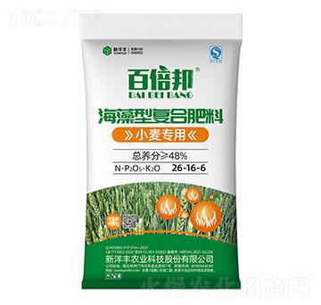小麥專用海藻型復合肥料26-16-6-百倍邦-新洋豐