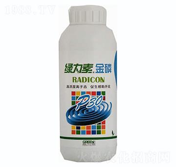 �G���ؽ���-��G��