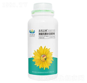 �ʻ�����-�m�Z��-������