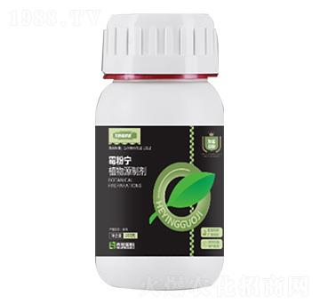 200gù�ی�-�̷f����