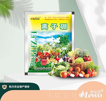 �x����-�A����