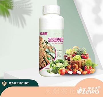 �ٻ����A��-�A����